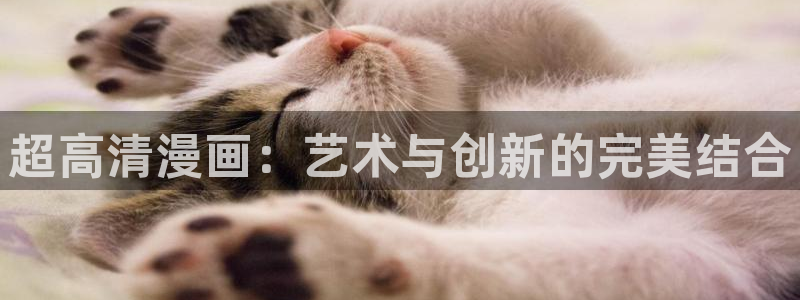 永久免费看51漫画：超高清漫画：艺术与创新的完美结合