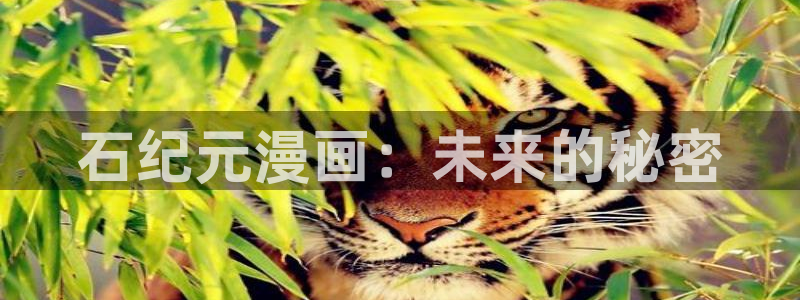 51漫画在线免费观看：石纪元漫画：未来的秘密