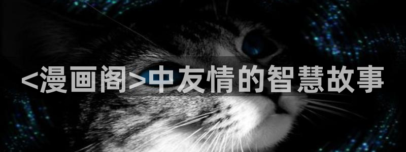 在线看51漫画画免费