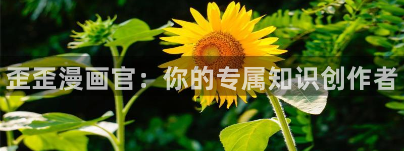 51漫画屋漫画免费漫画下拉式