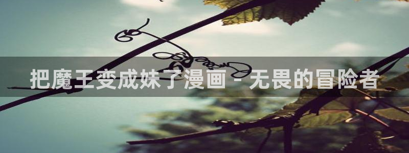 51漫画绅士漫画网：把魔王变成妹了漫画 - 无畏的冒险者